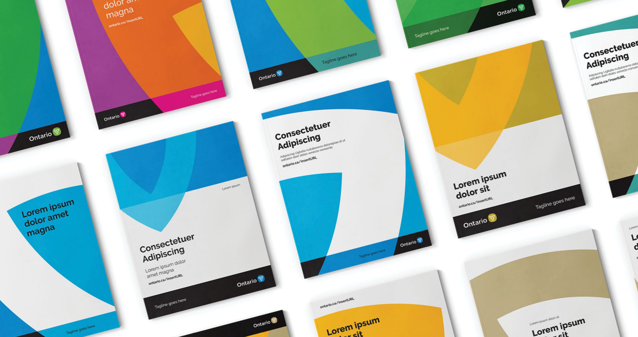 A series of report covers each featuring different colour treatments with the supergraphic connecting everything.