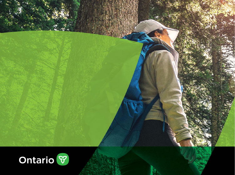 Hiker in provincial park with bold green trillium supergraphic overlay